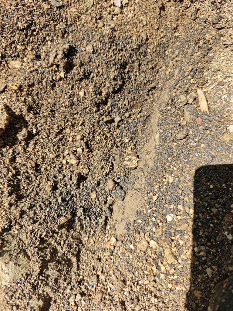 Arena de placer con minerales pesados