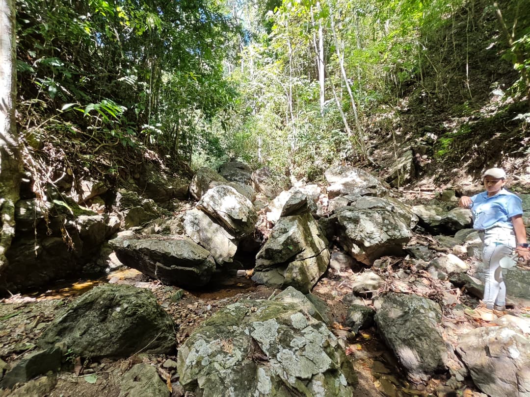 Bloques metamórficos en el cauce