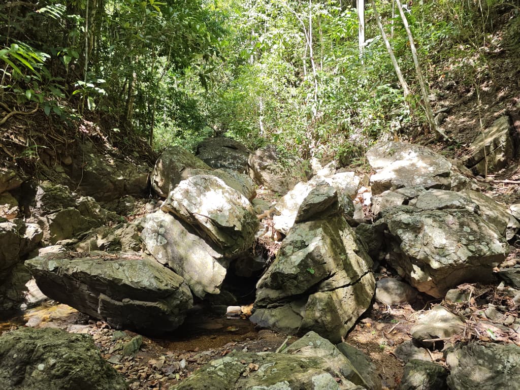 Pared de afloramiento
